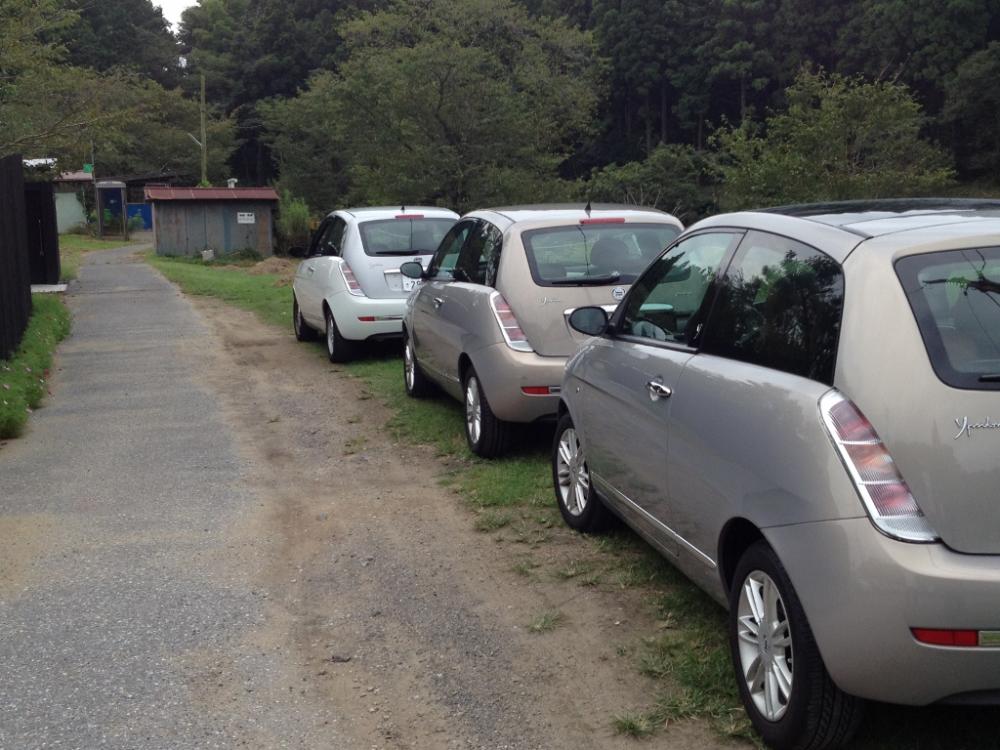 IMG_2088 (1024x768).jpg